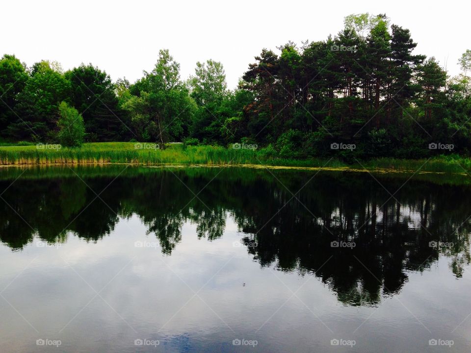 Summer reflection . Twilight creates a reflection on the water...