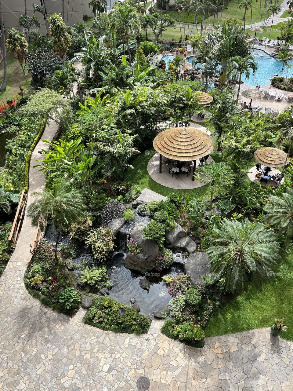 Up looking at the grounds in Maui Hawaii 