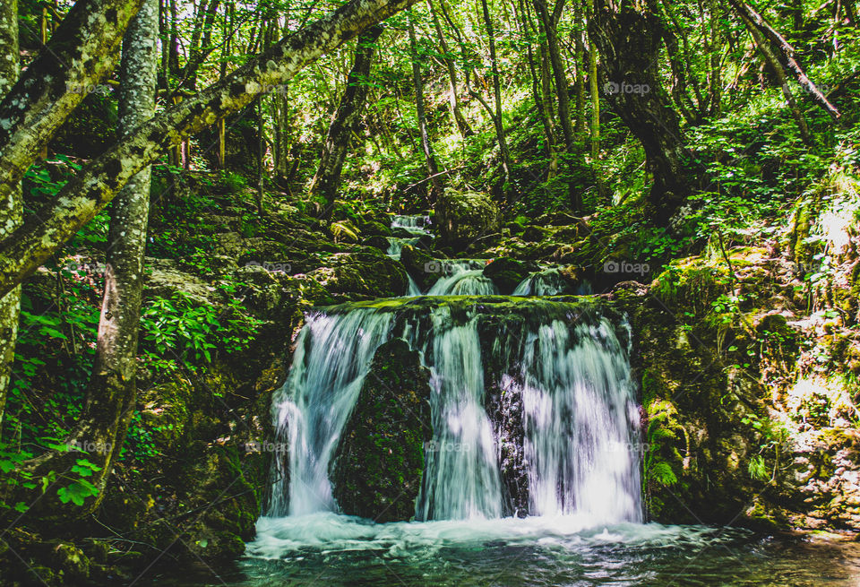 Small Waterfall in a Forest