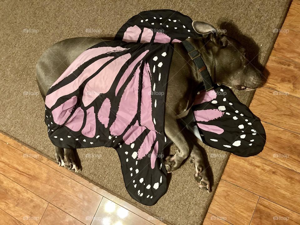 This is Spring photography mission 