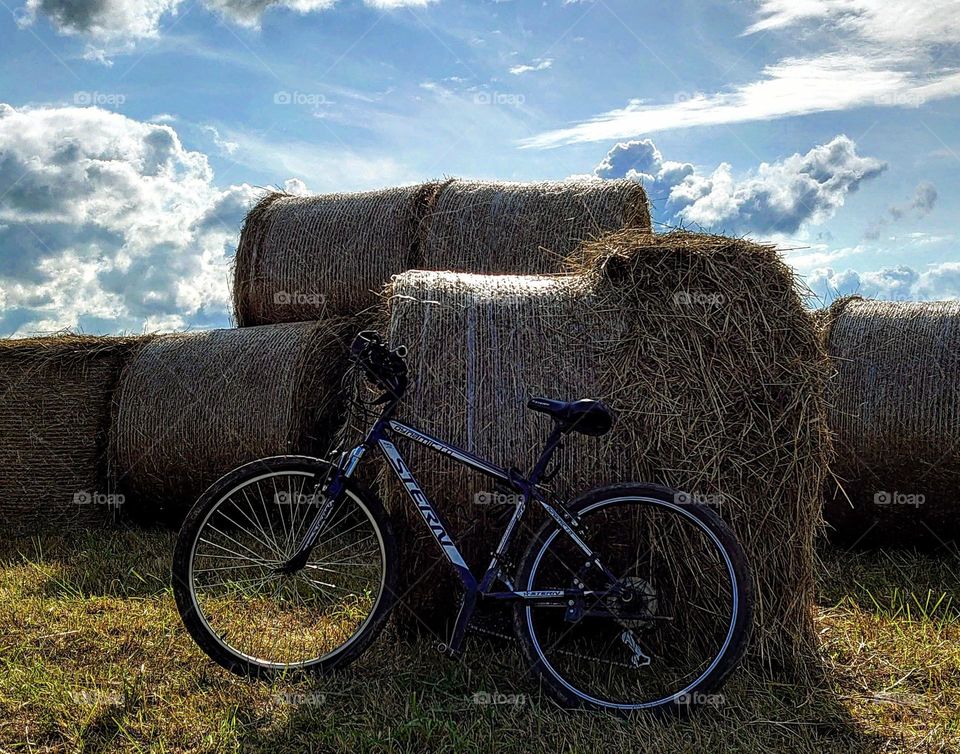 Hay 🌾 Bicycle 🚲 Farm🌾 Outside 🚲