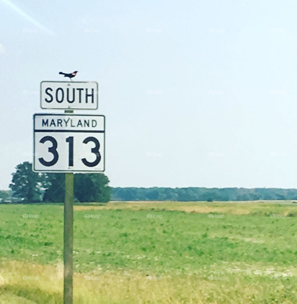 Maryland Highway Sign