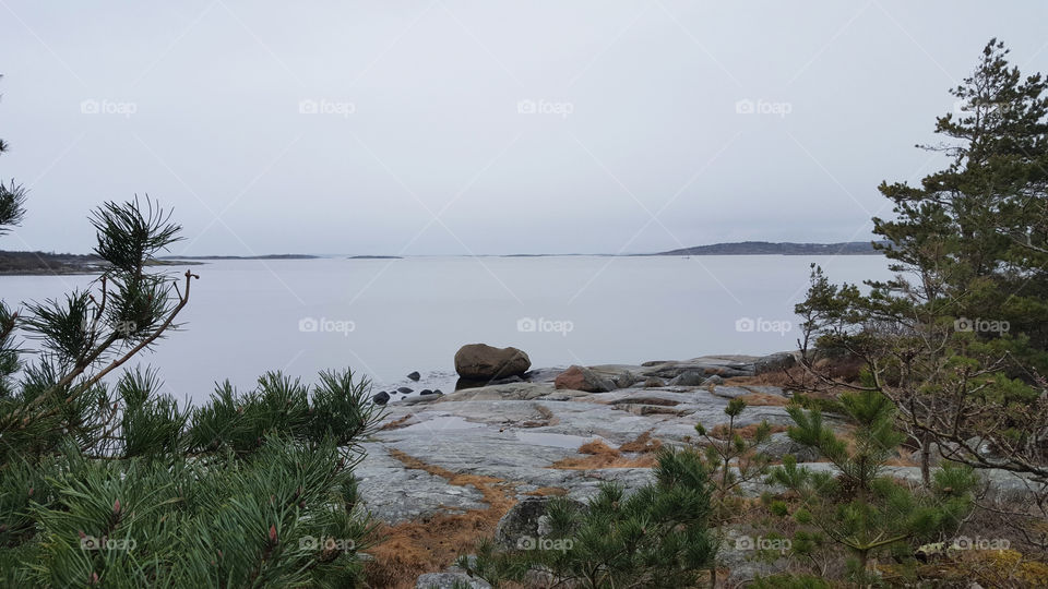 Scenic view of nature