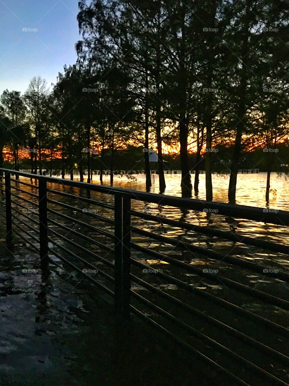 Hurricane flooding