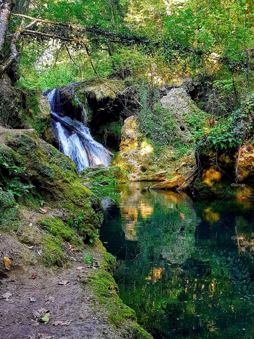 waterfall in the forest