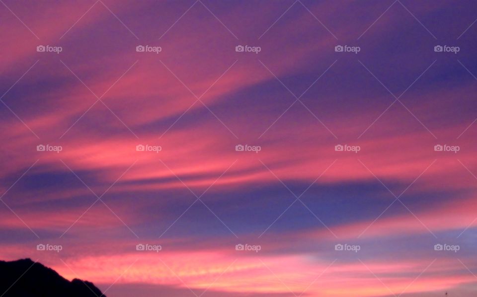 rose-coloured sky