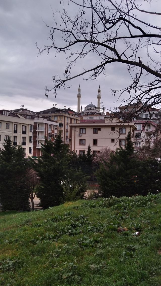 mosque