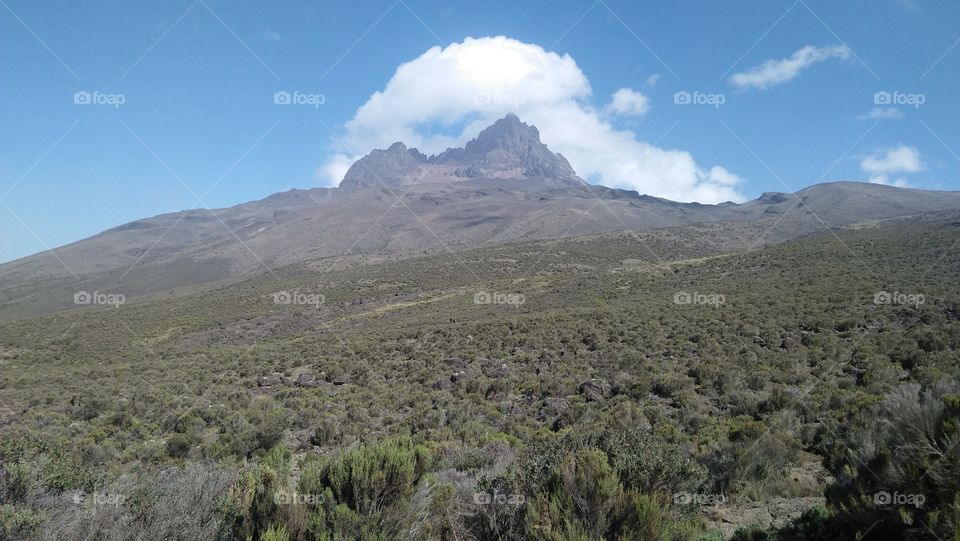 Mawenzi peak view from Rongai route