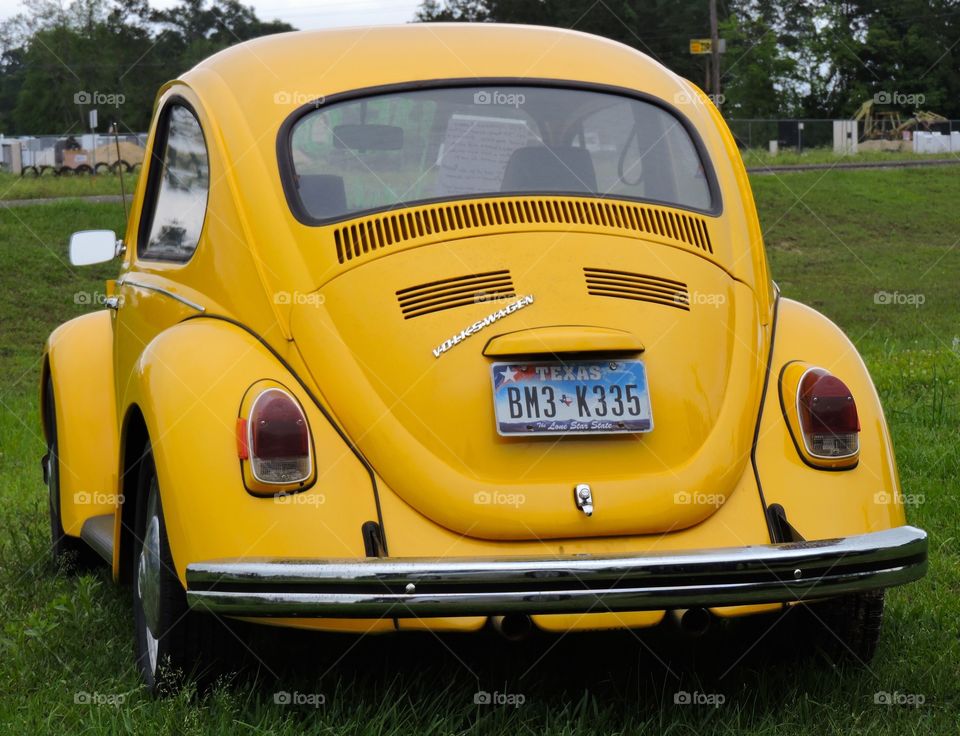 Feeling yellow mellow. VW bug 