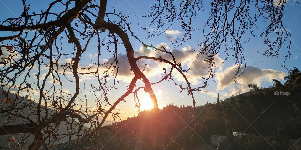 sunny makes me happy