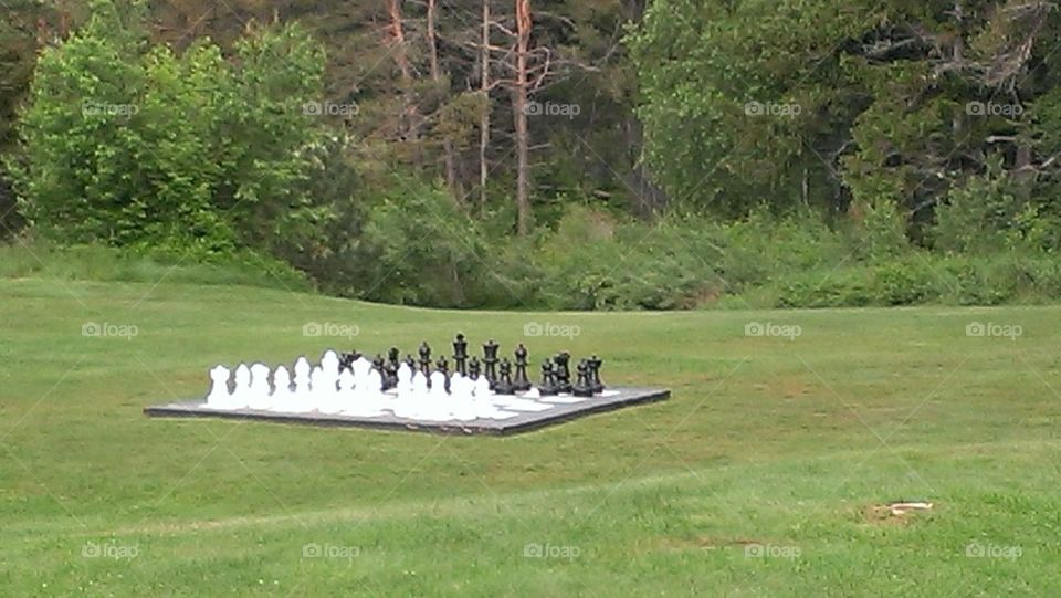 lawn chess
