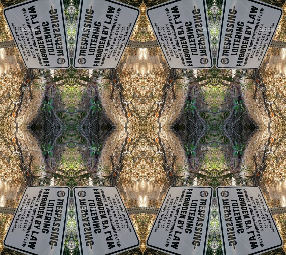 Decoration, Scale, Art, Pattern, Illustration