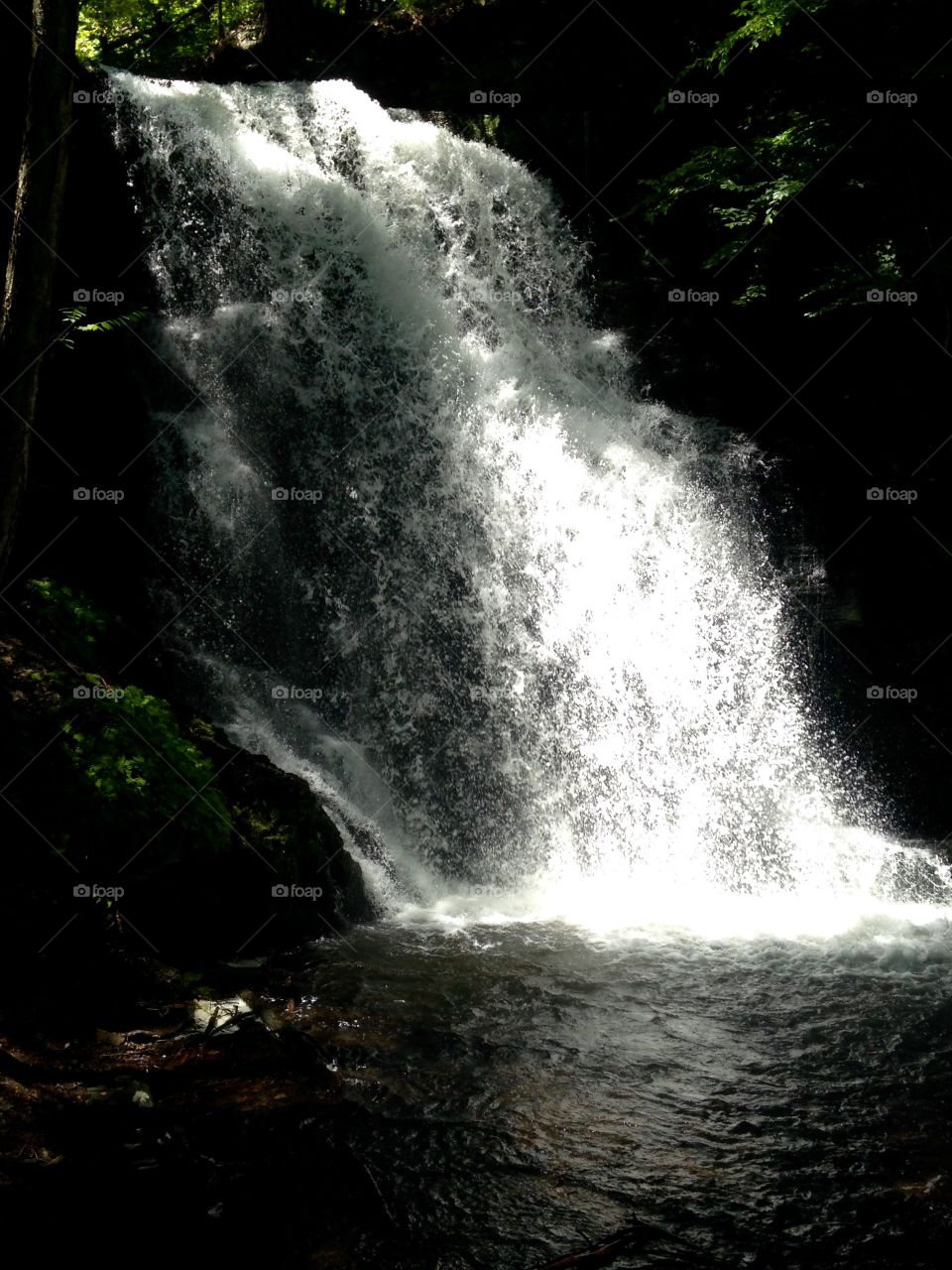 Bushkill falls