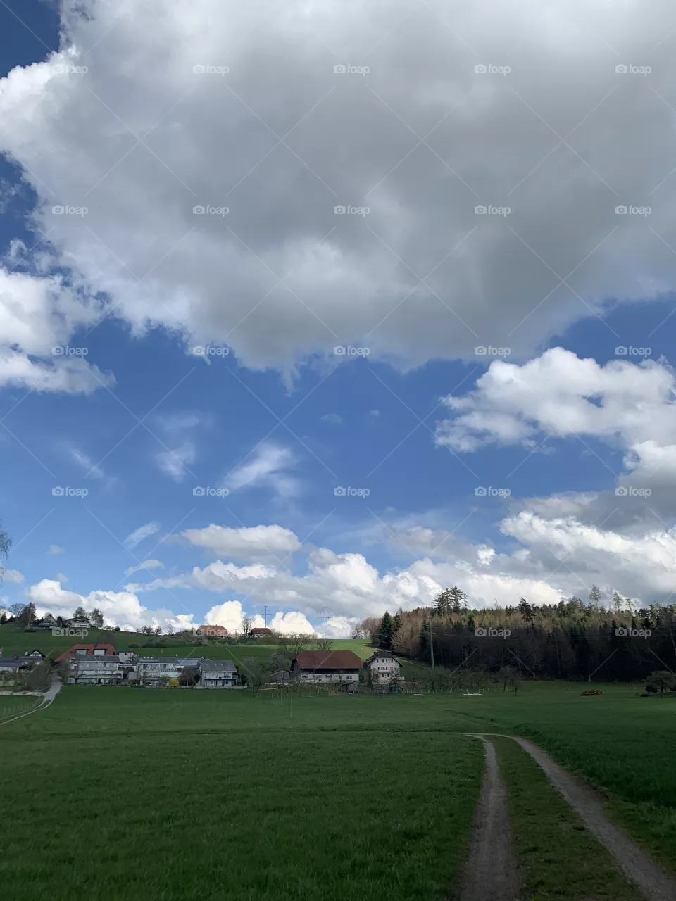 Swiss
