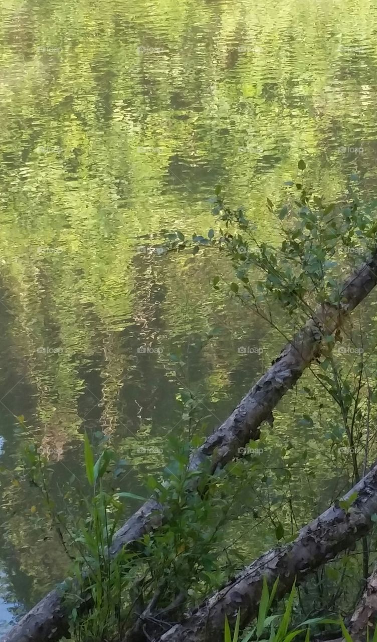 light and water as texture