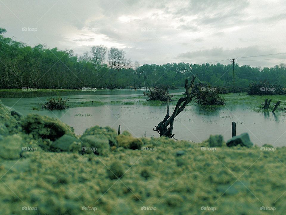 Fishing place