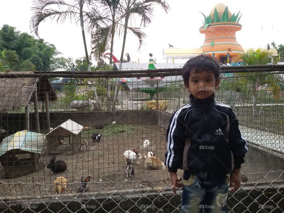 Sameer with rabbits