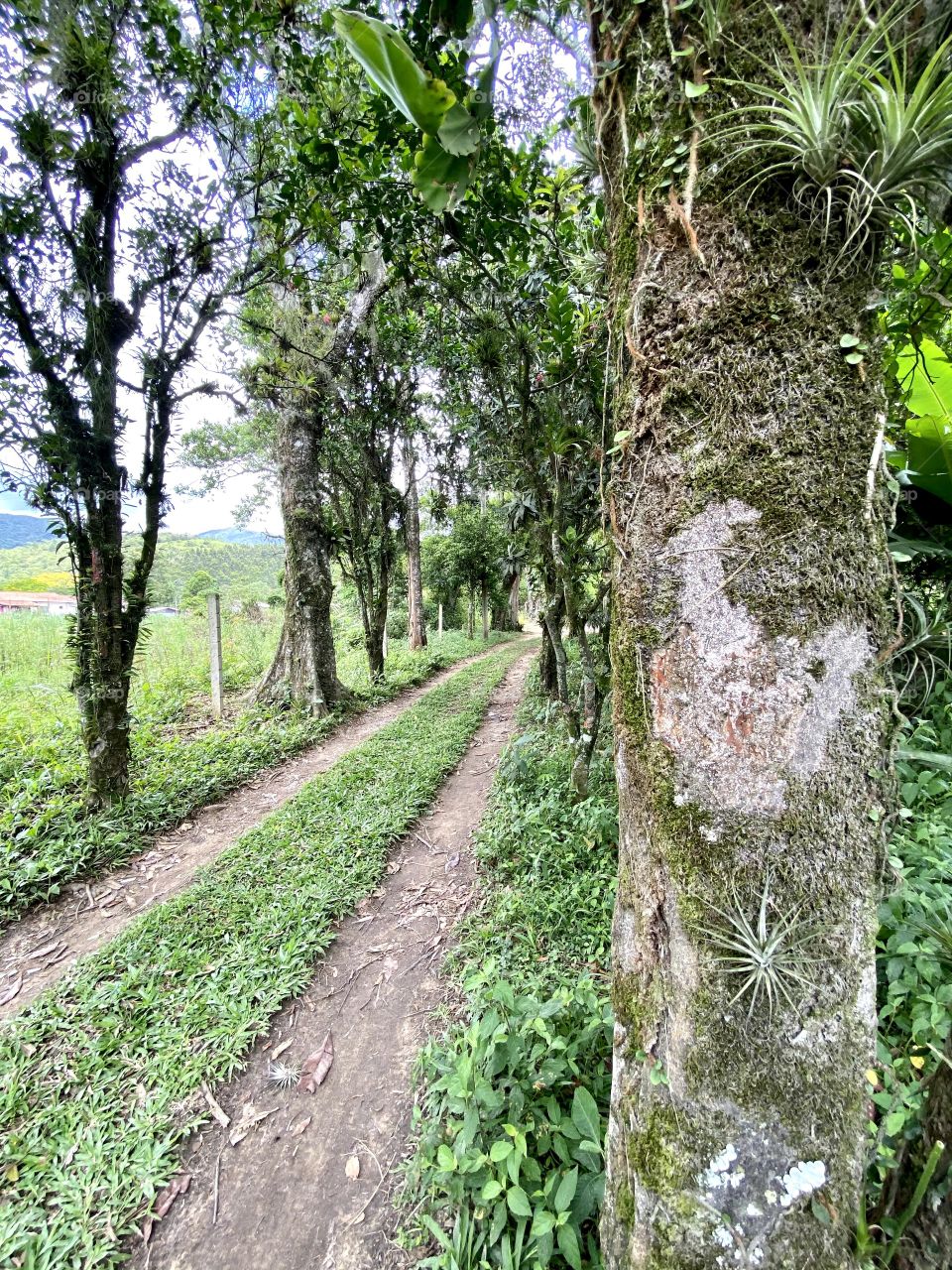 Paths that transmit peace