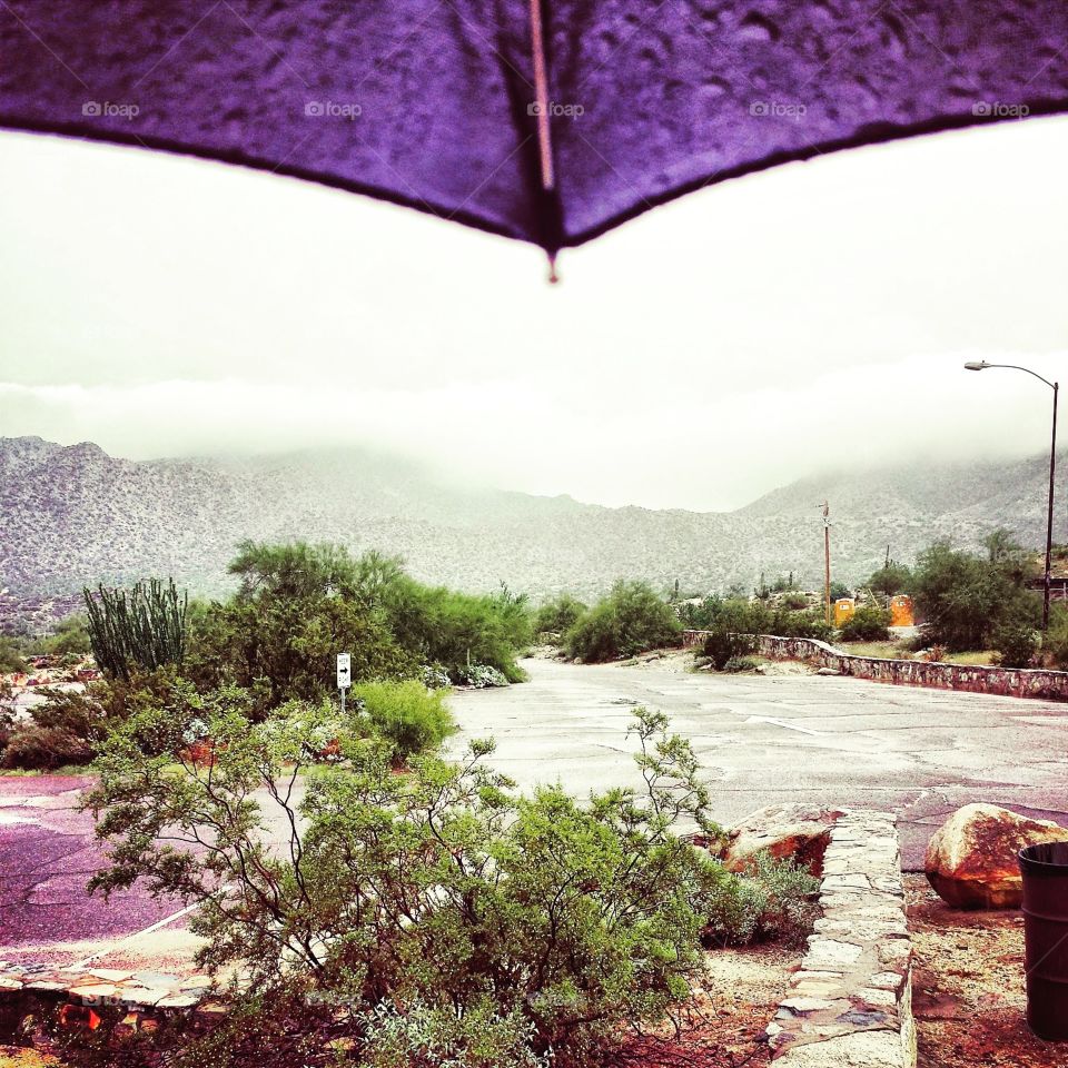 "Rainy Days" South Mountain -Phoenix, Arizona