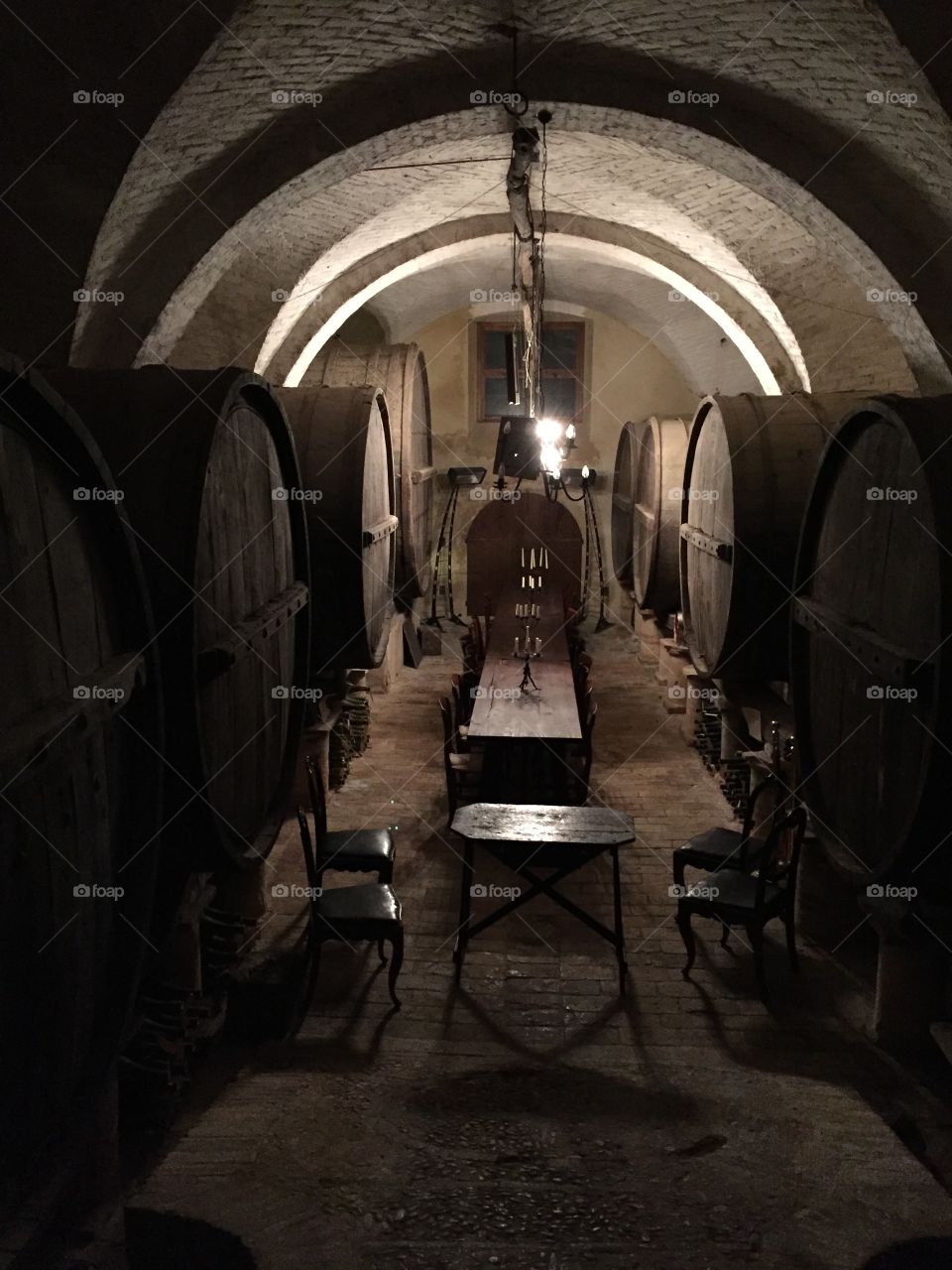 Wine tasting cellar