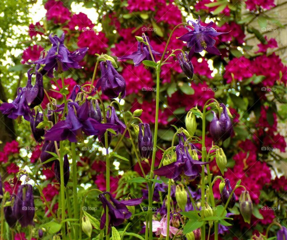 beauty is a brief walk away.