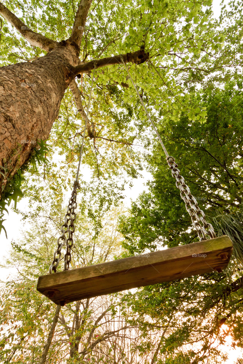 Looking up at a swing and big tree through the eyes of a child. Wooden swing on tree. Summer fun for kids. Adventure