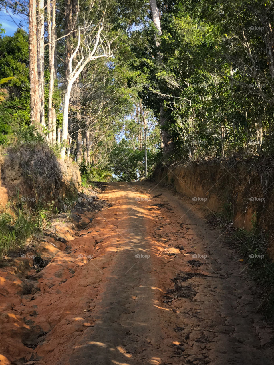 Estrada indo para aldeia tibá em cumuruxatiba Bahia Brasil 🇧🇷