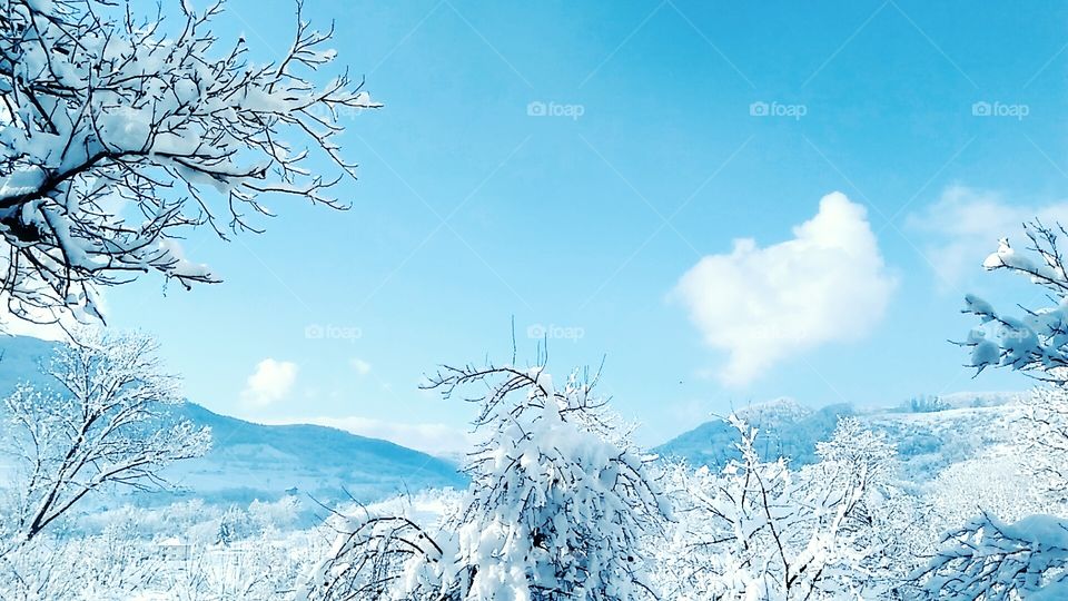 Winter and snow time... 😍