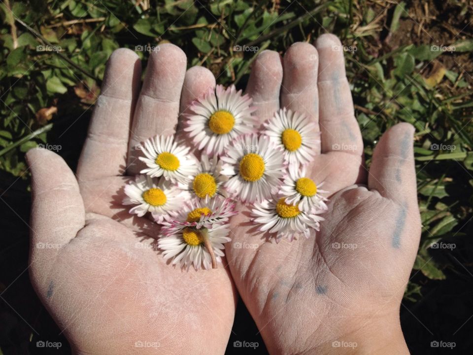 flower and kids hands