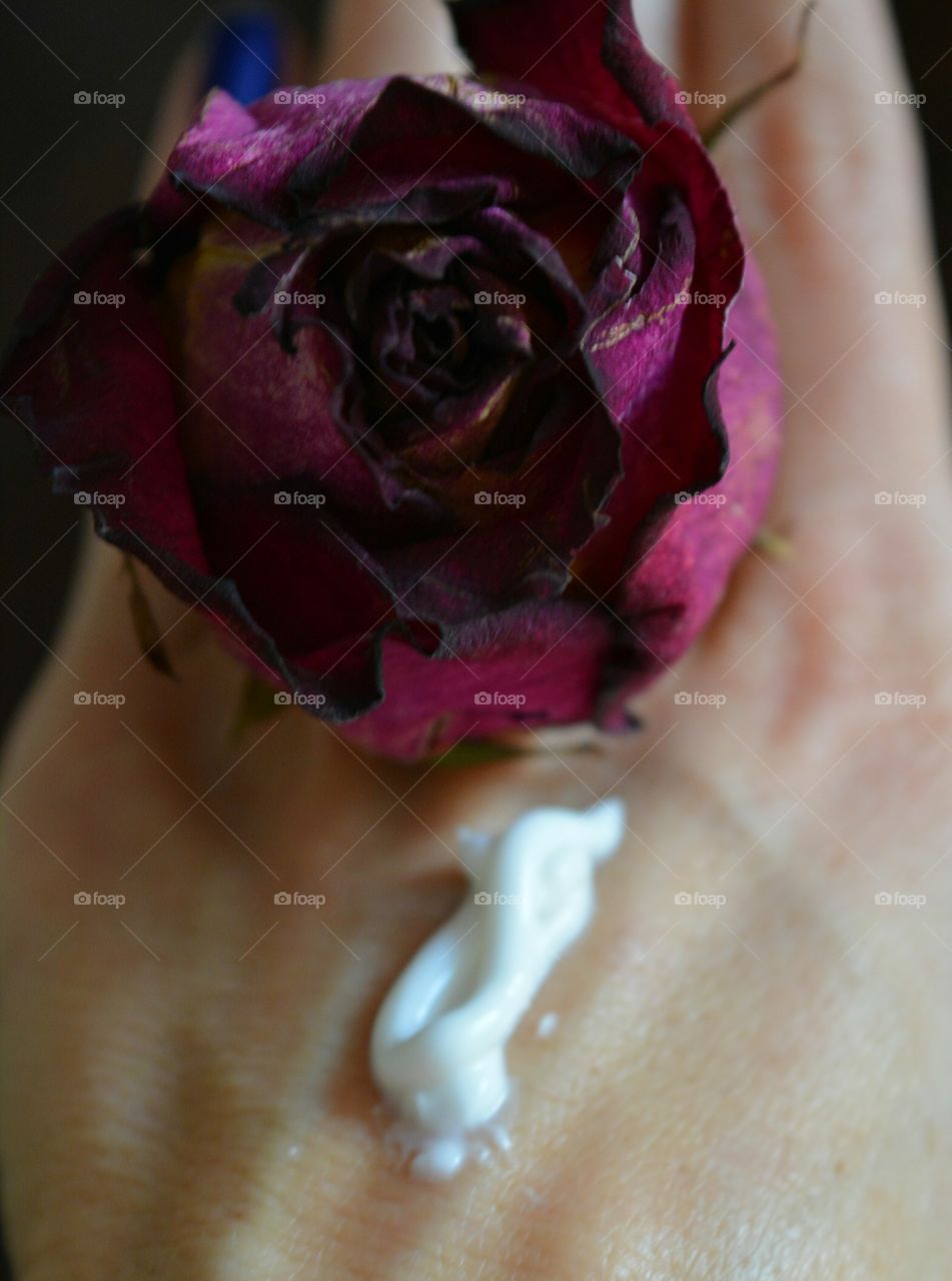 Flower, Rose, Wedding, Love, Beautiful