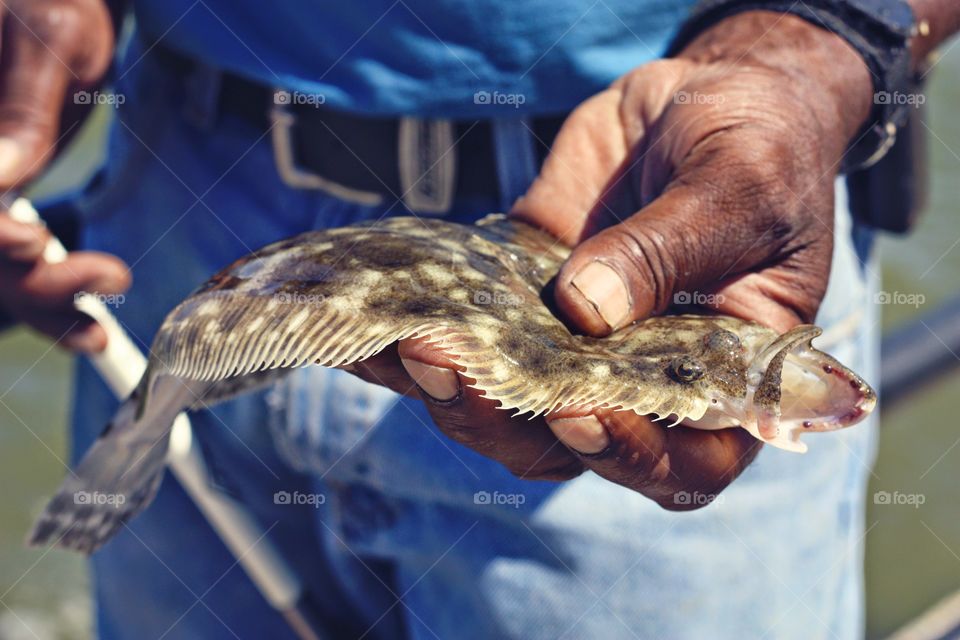 A fish named Flounder. In North Carolina. 