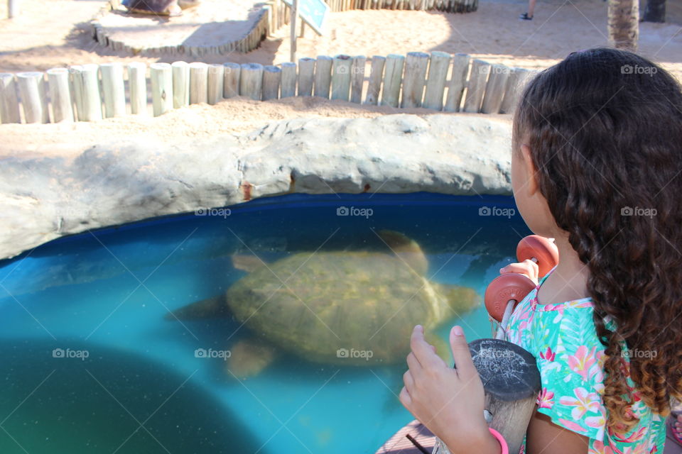 Beautiful girl looking at a big turtle