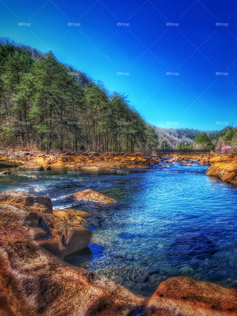 Beautiful scenery in Tennessee 