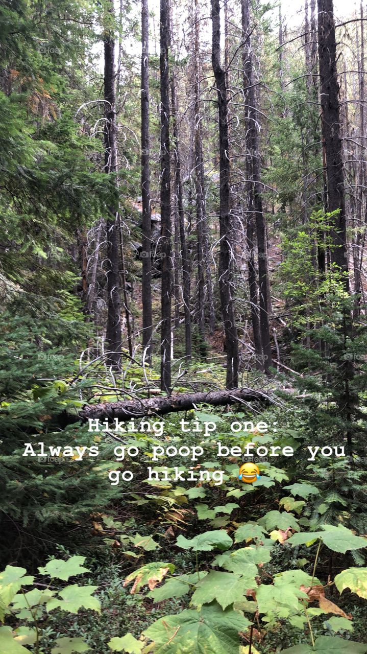 Hiking Tip