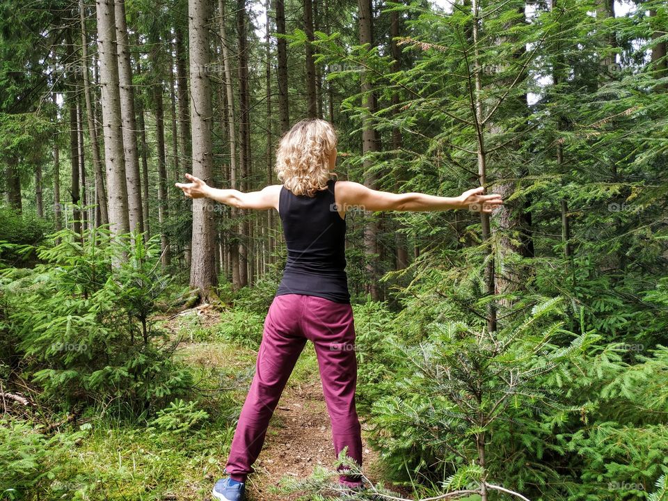 The vast magic morning forest