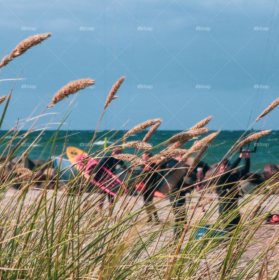 Surfers on the beach