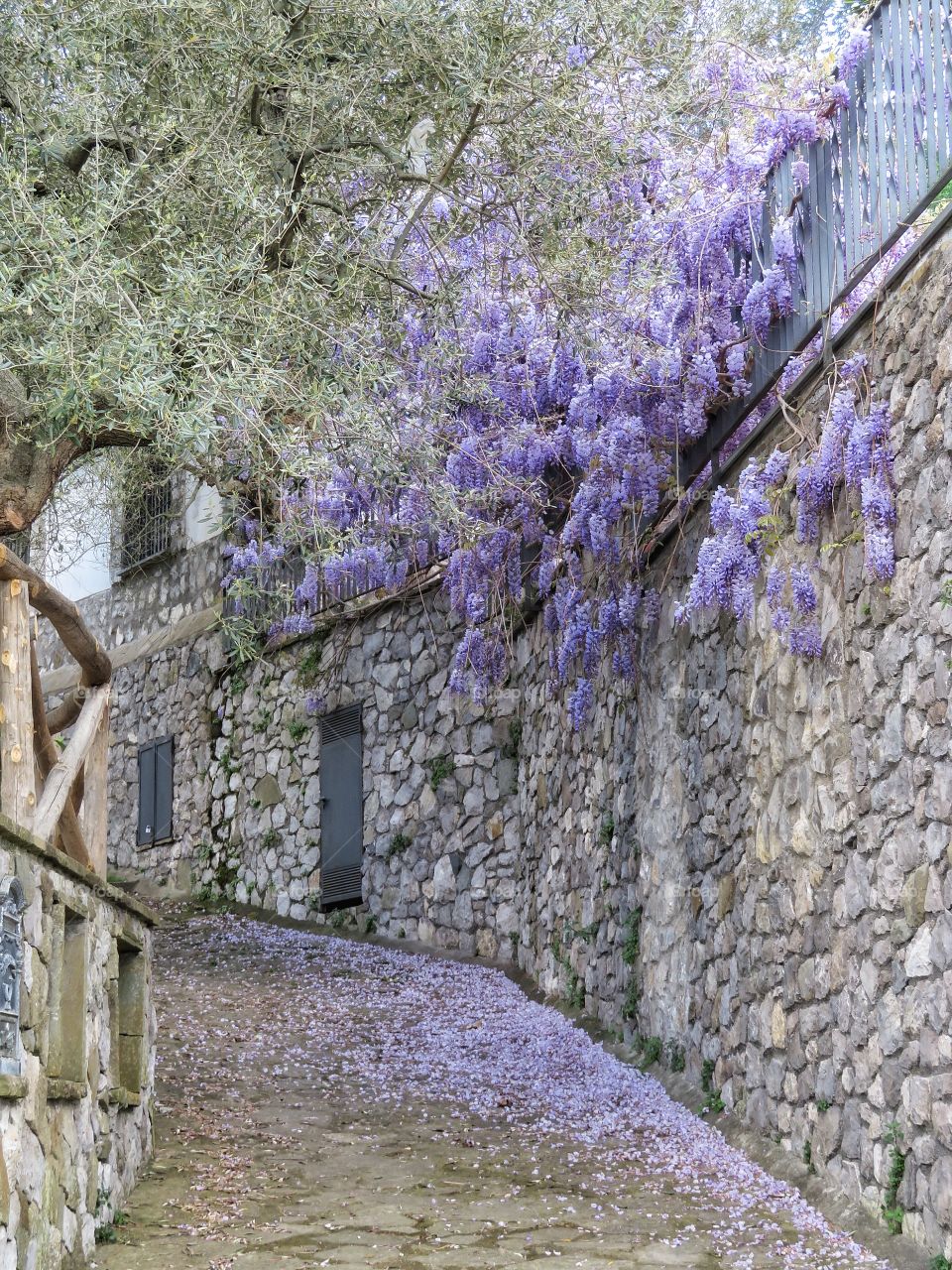 Hiking around Sorrento 