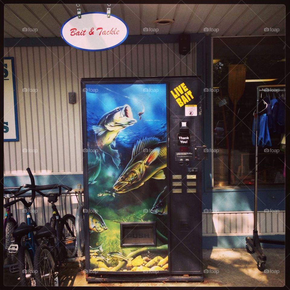 Self Serve live bait, michigan 