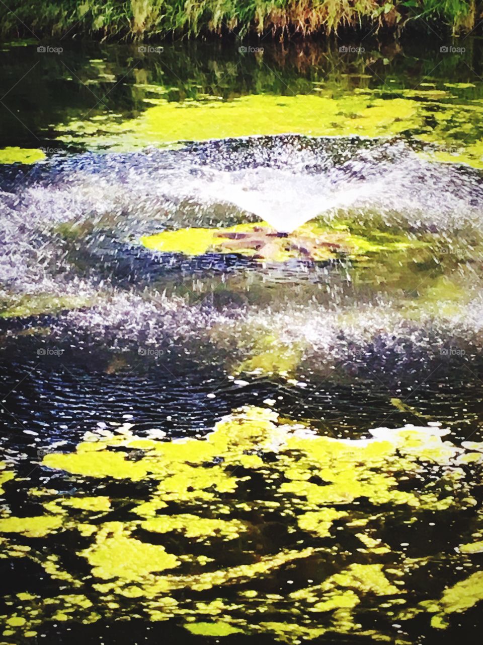 Water, Nature, No Person, Splash, Pool