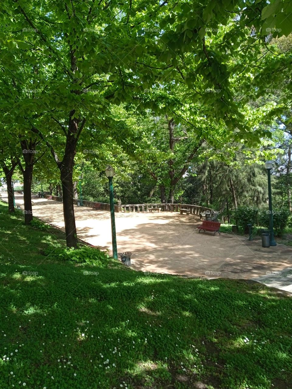 Sao Roque Park in the center of the city of Porto