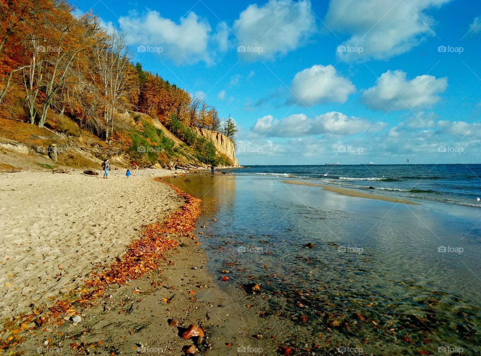 autumn at the Baltic sea coast in Poland