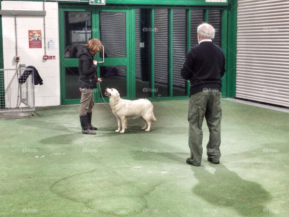 Zoe at Ringcraft Class