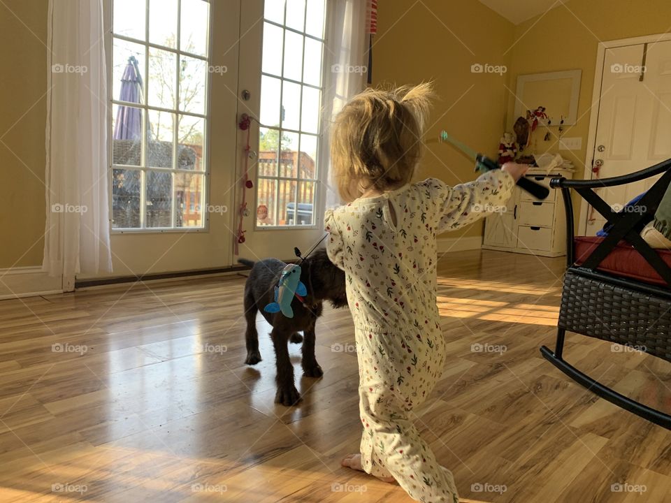 Playful tot and crazy puppy