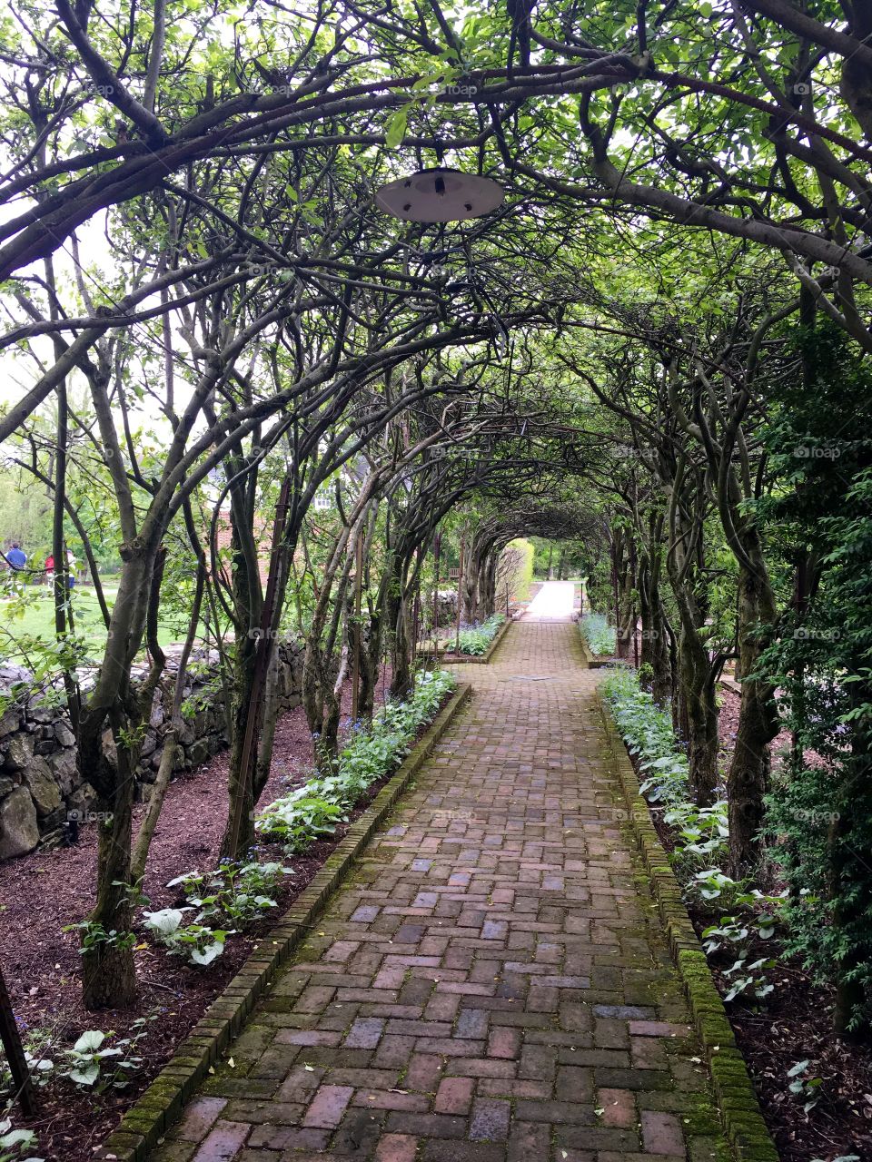 Garden tunnel at museum of the Shenandoah 