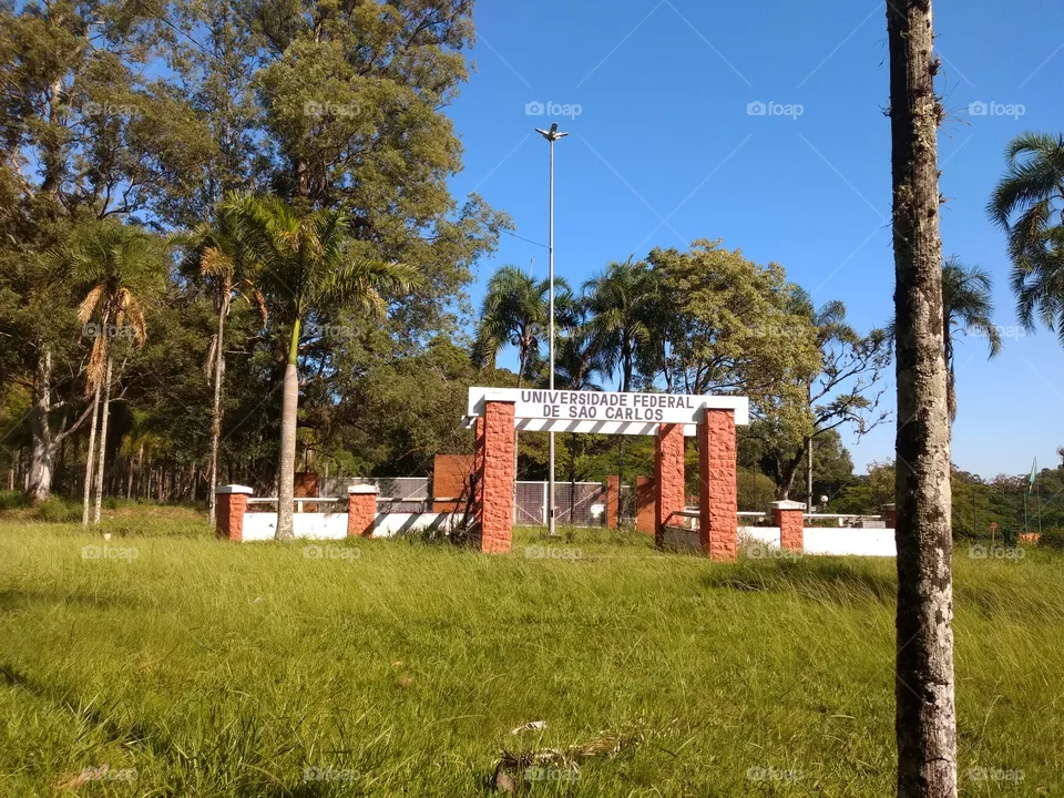 bem vindo foap
