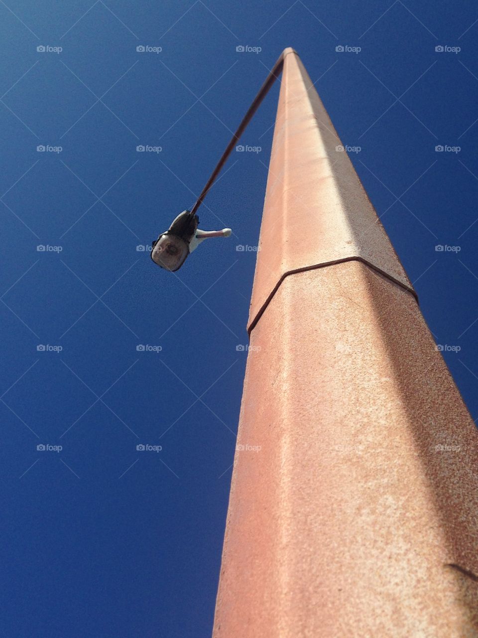 Pelican on a lamp post. Pelican on a lamp/light post in south Australia, perspective