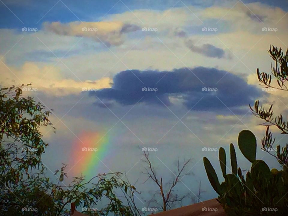Desert  rainbow . Rainbow