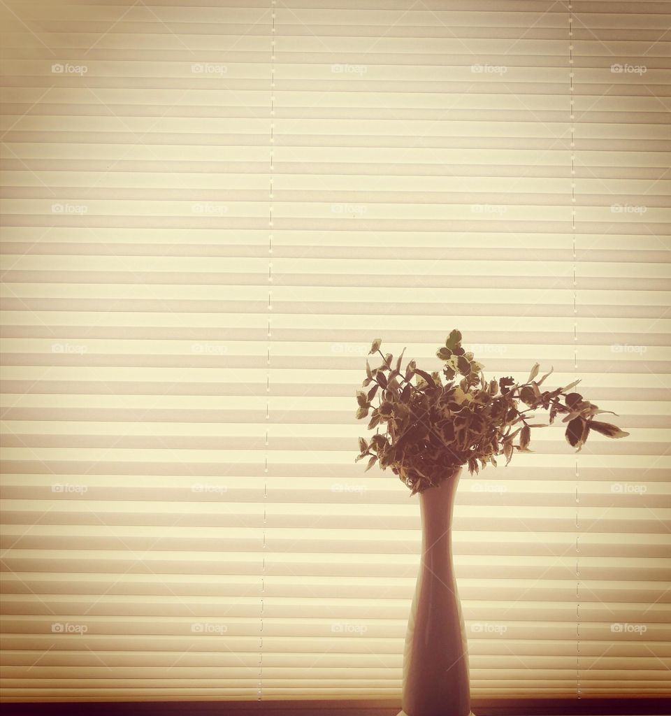 Flowers in vase on the window sill