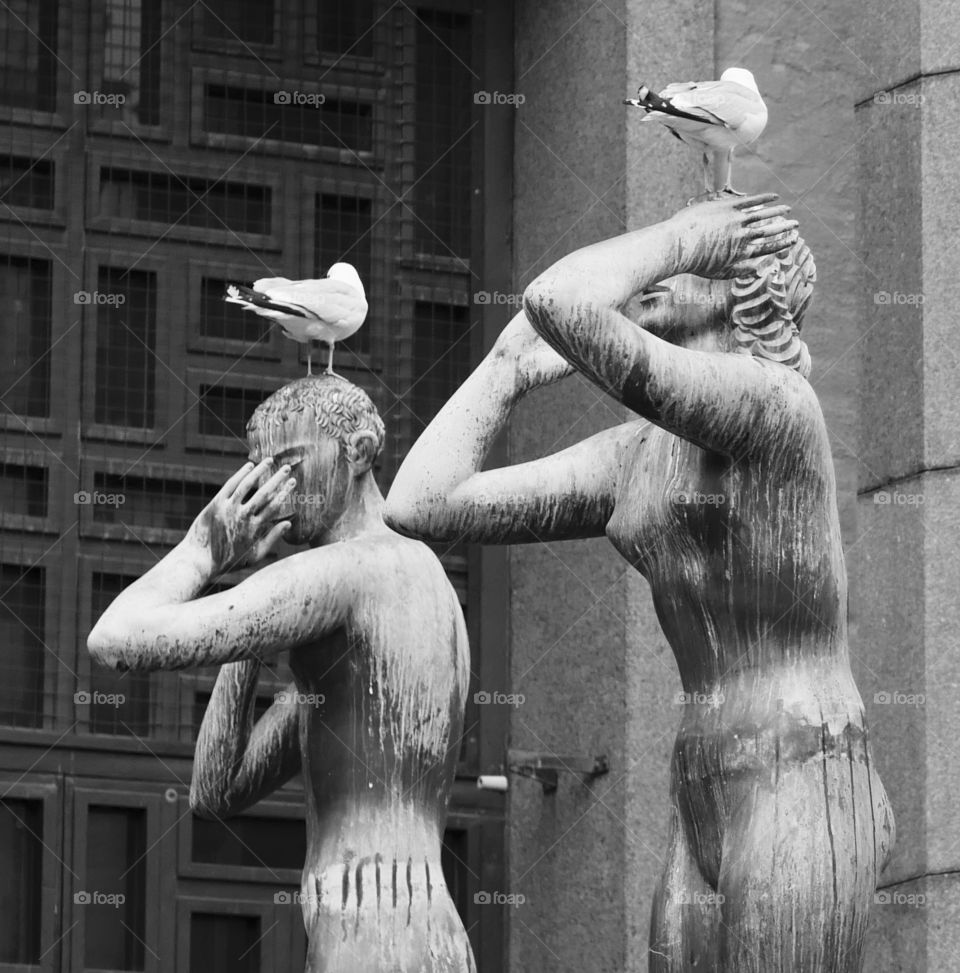 Statue seagulls head Stockholm Sweden