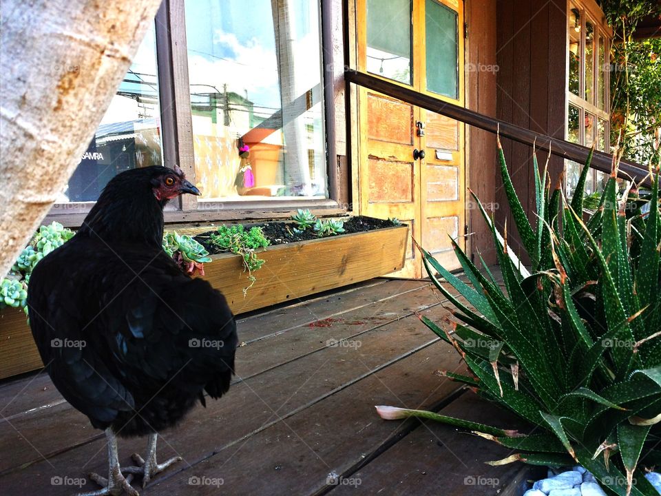 Where am I ?. Where am I ?